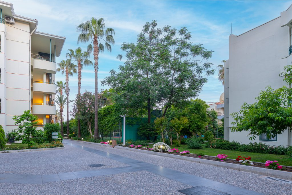 Eğlence ve Animasyon